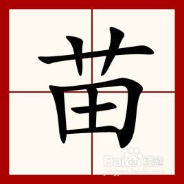 苗会意字怎么解释