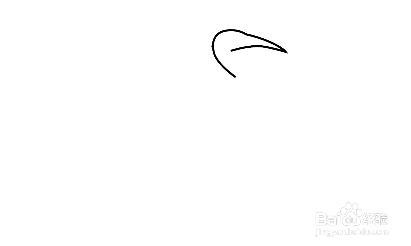 如何画出一只白鹭