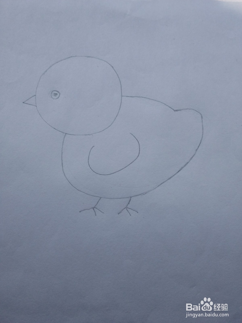 简笔画——怎么画小鸡