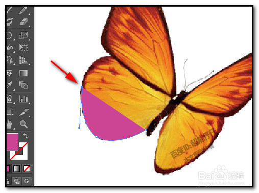 illustrator钢笔工具怎么用 AI如何用钢笔描图形