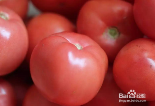 西红柿冷冻保存 百度经验