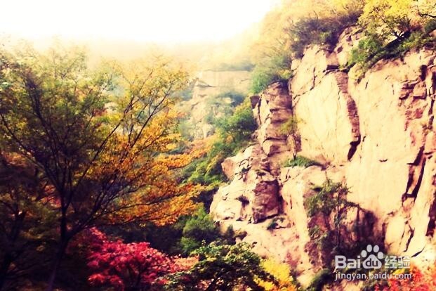 旅游风景各种调色1