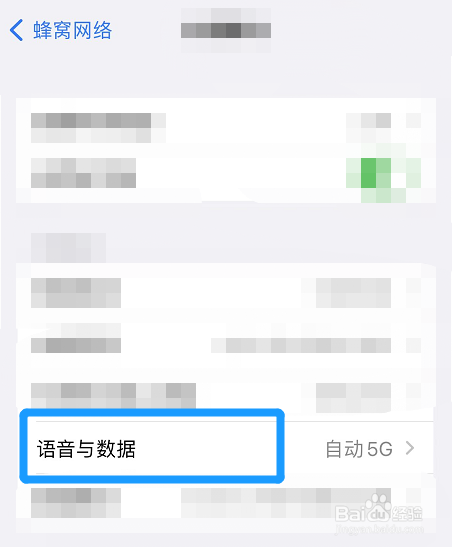 苹果14怎么关闭独立5g网络