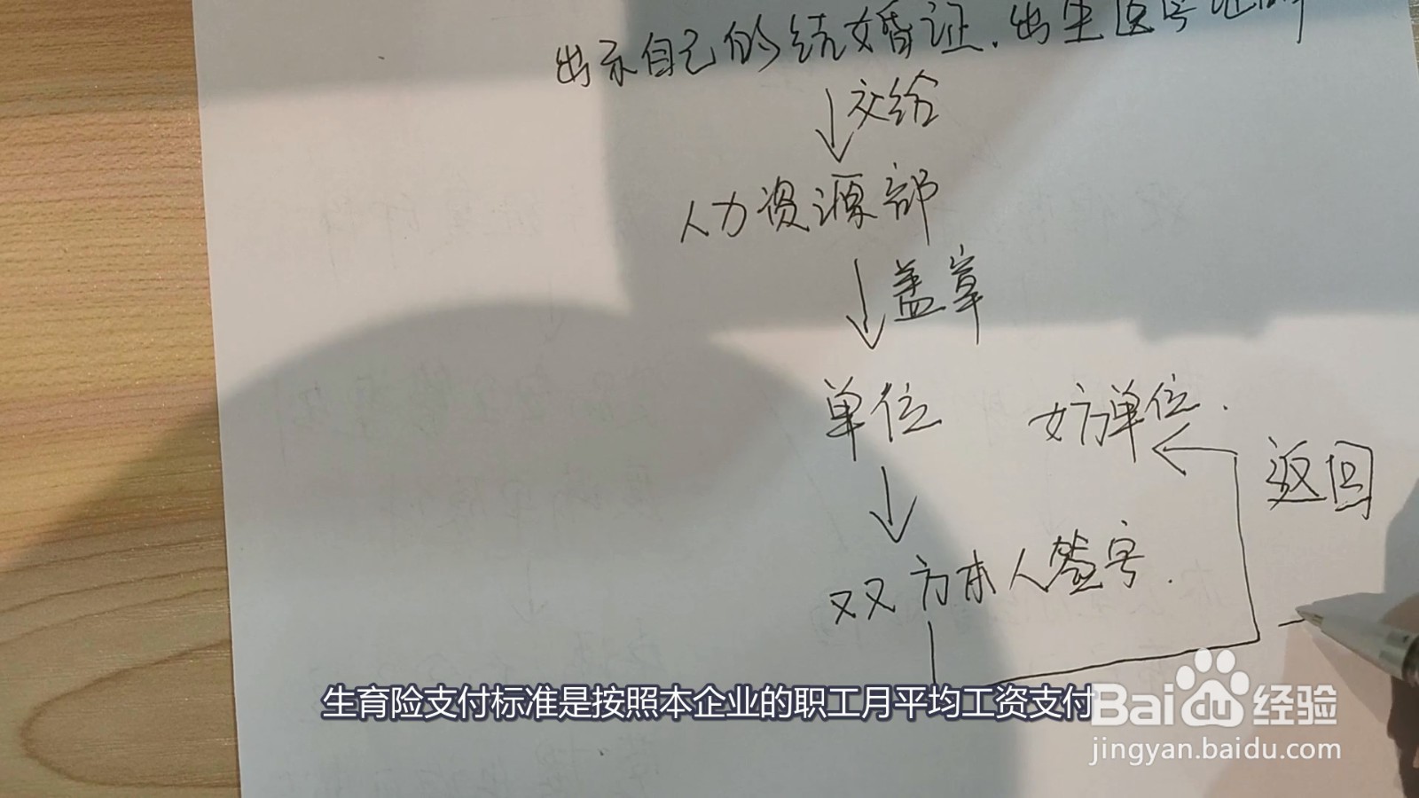 生育险怎么报销？