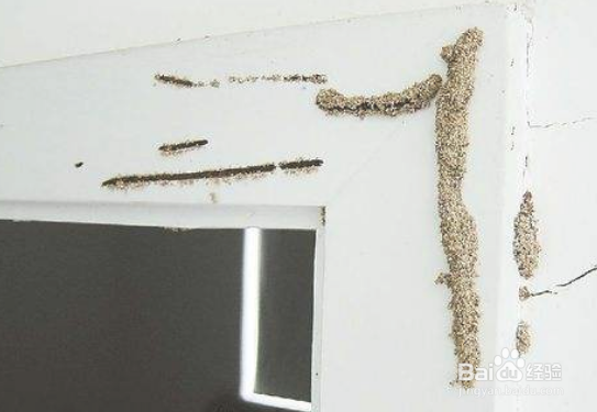 如何防白蚁入屋