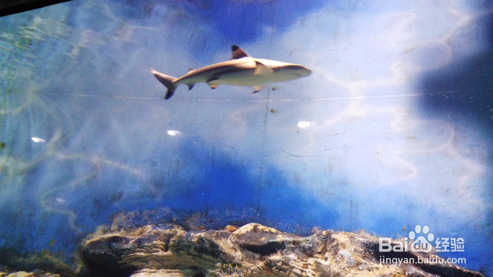 天津欢乐谷游玩指南