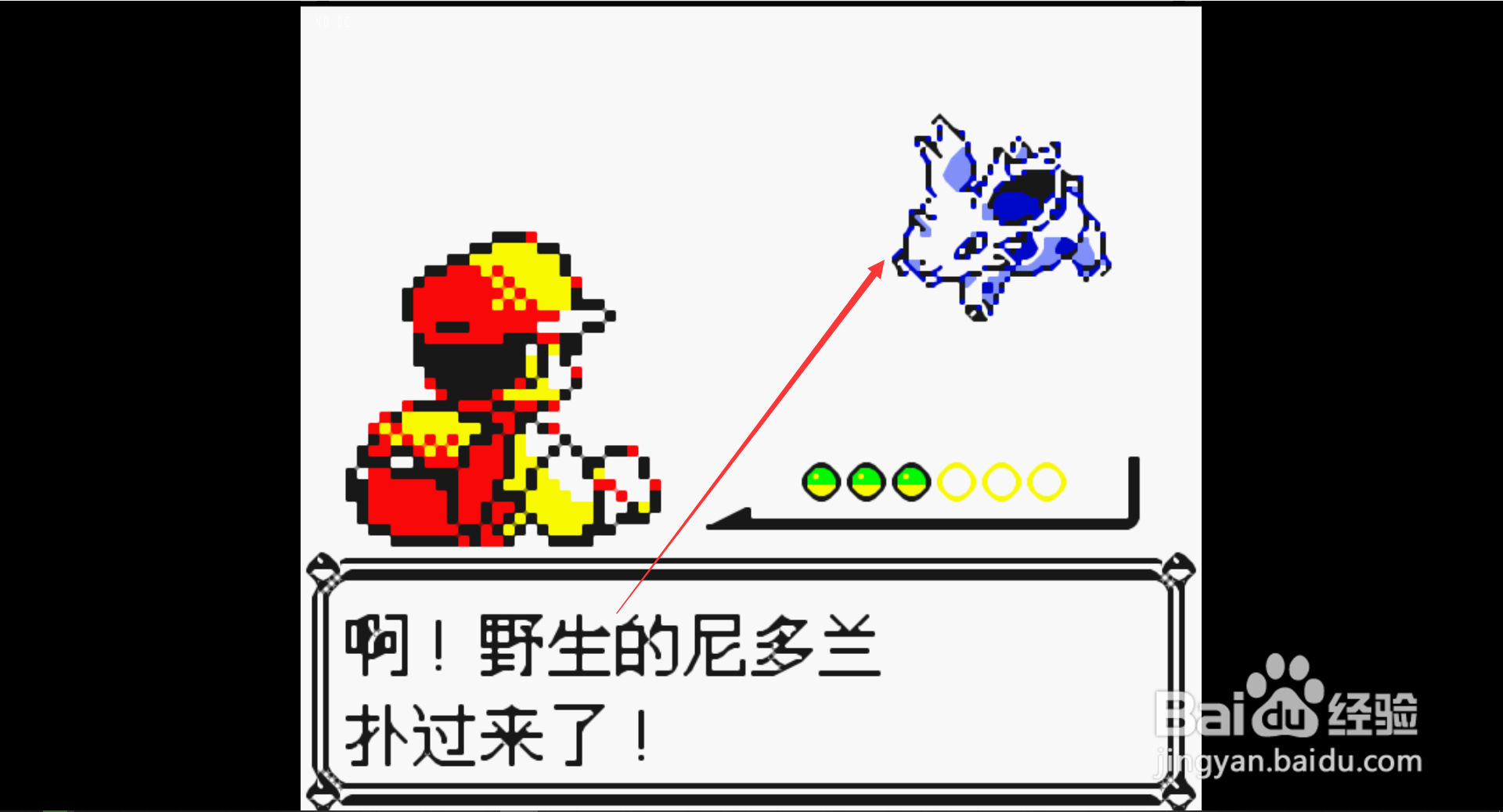 口袋妖怪黄尼多兰在哪里抓