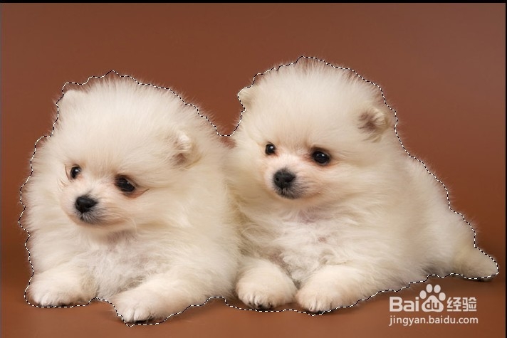 用调整边缘功能抠图：[3]抠图技巧