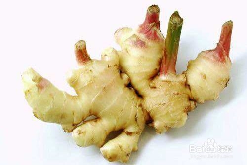 姜的养殖方法