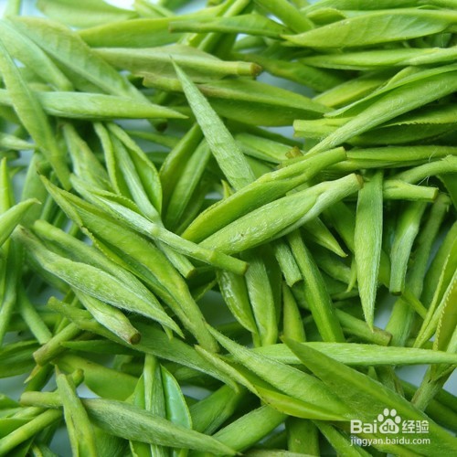 夏天如何远离蚊子