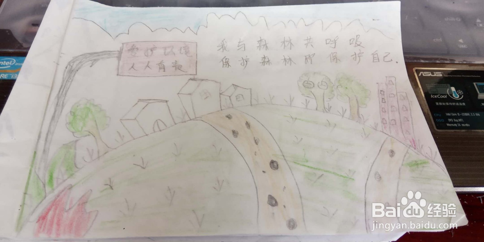 我与森林共呼吸手抄报