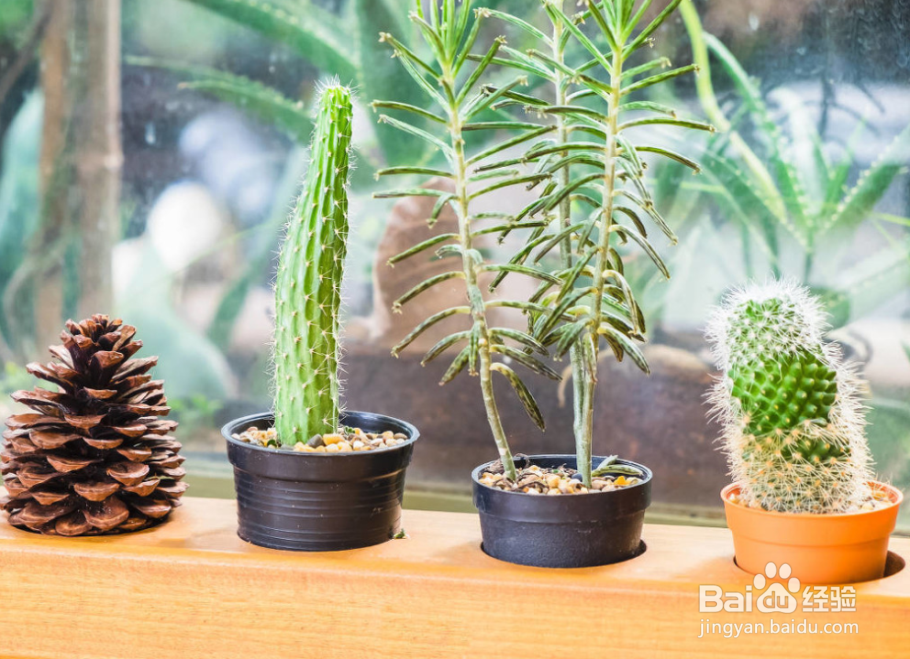 预防电脑辐射有哪些方法?