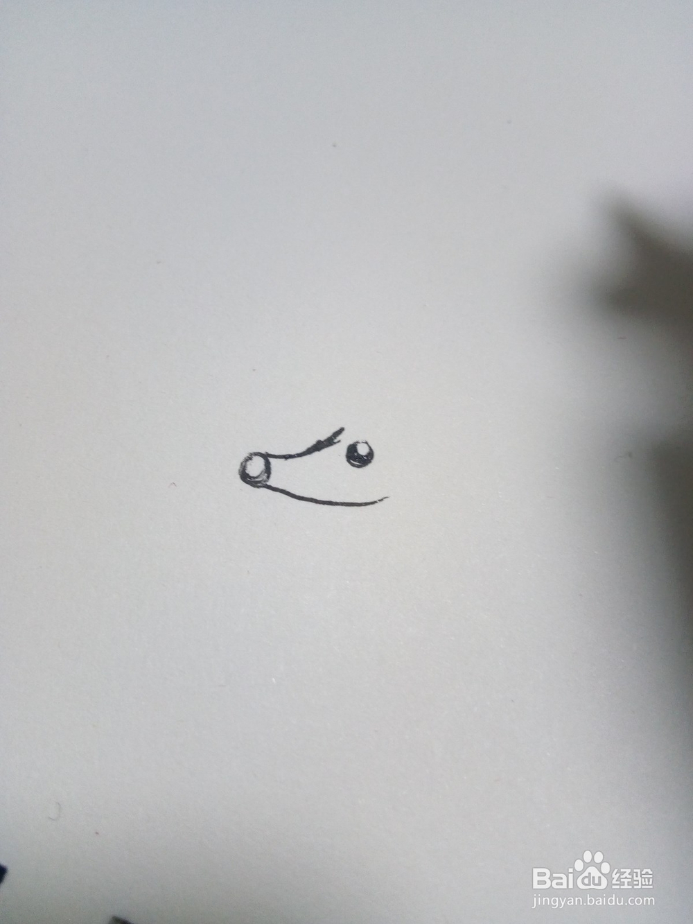 幼儿简笔画小刺猬