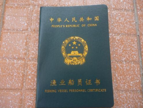 水手证需要考什么……