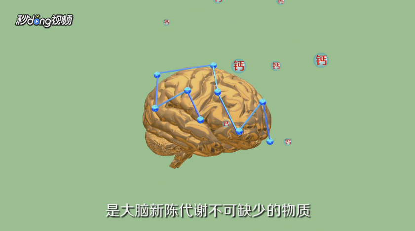 吃什么补脑