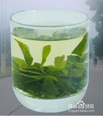 电脑族适合喝什么茶