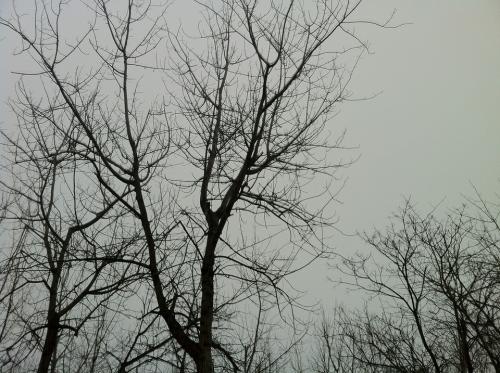 艾青失去的岁月赏析