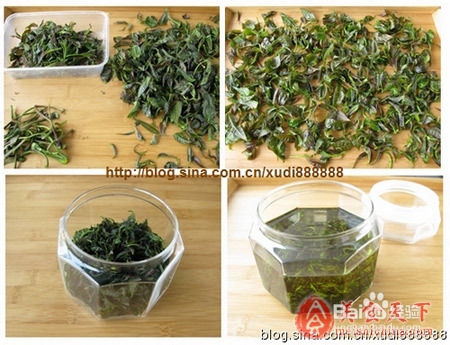 香椿三吃 谷雨时节食春芽