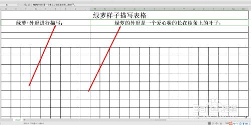 如何介绍绿萝的样子