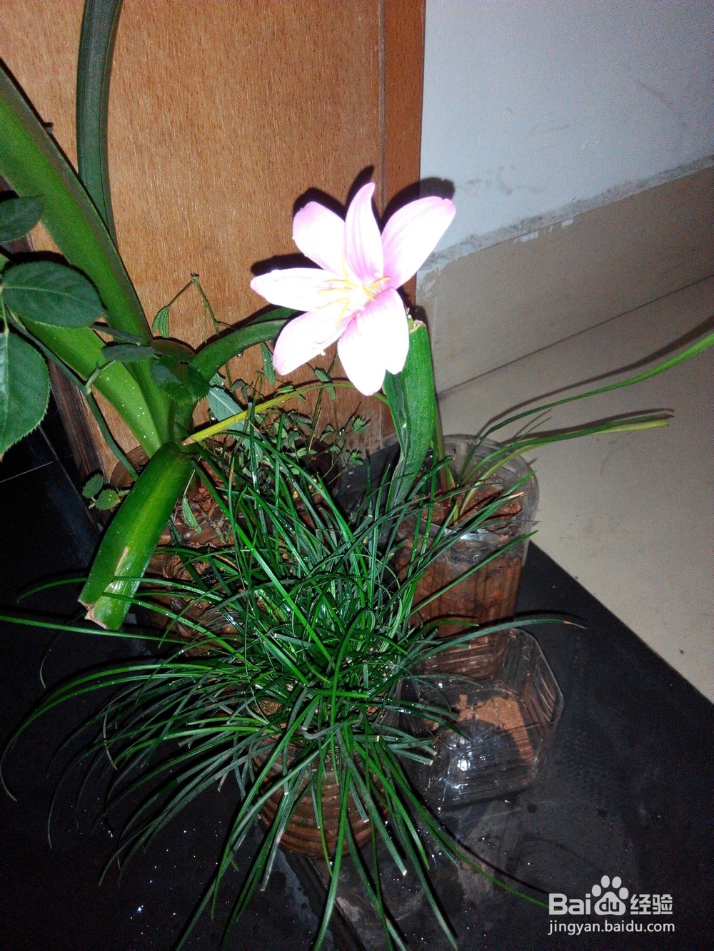 信奉一种简单生活：[1]陌上花开