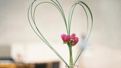 拿什么拯救你的婚姻?