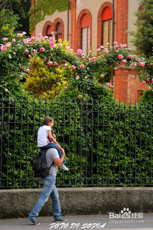 [转载]攀上梦的边缘开放