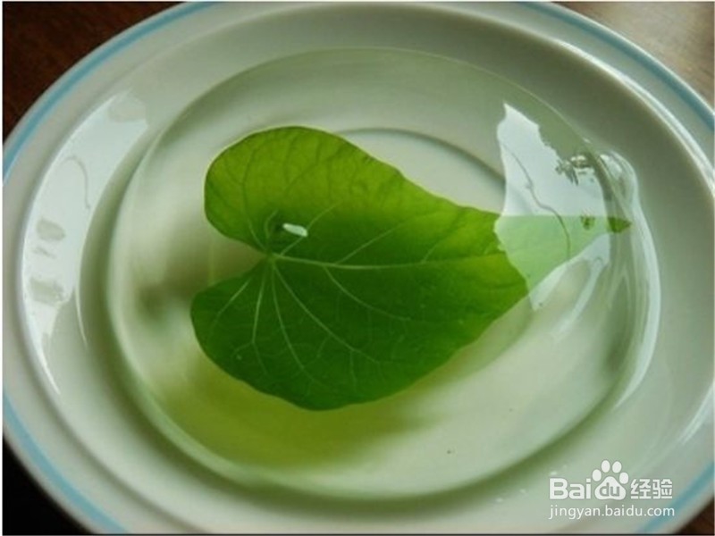 薜荔果怎么食用