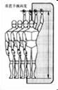 人体工程学——人体与室内