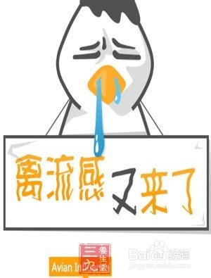h7n9病毒 今秋或卷土重来