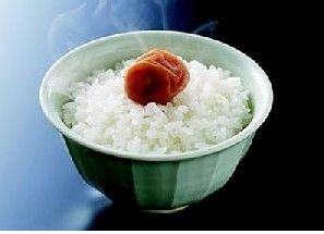 如何给英国短毛猫炒菠菜鸡肉饭