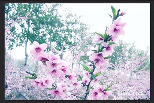 用光影魔术手如何将图片变淡