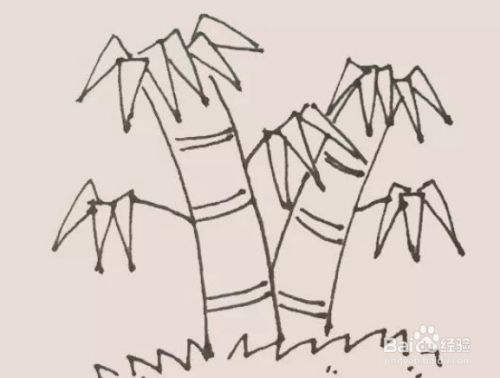 竹子简笔画画法
