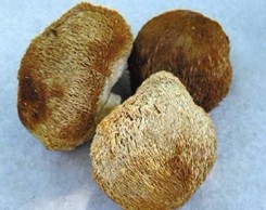 中医盘点11种最常见的一定要吃的抗癌食物