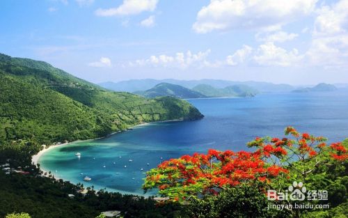 怎么快速修改图片大小