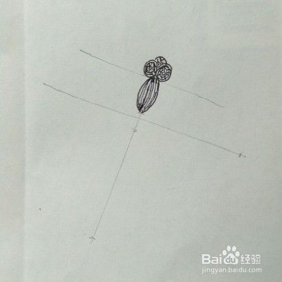 蜻蜓画法教程。怎么画蜻蜓如何画蜻蜓？方法步骤