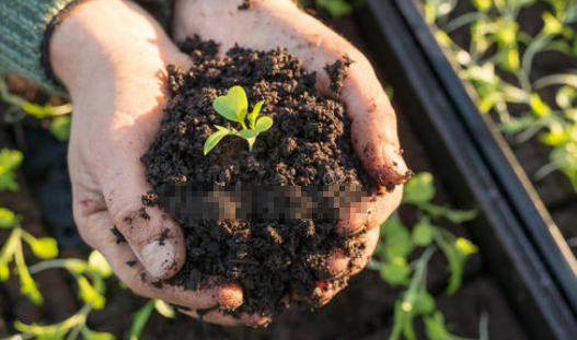 幽默风趣搞笑的网名有哪些