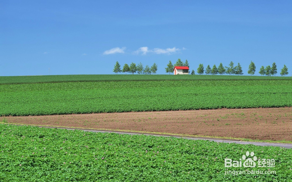 销售人员应该掌握哪些谈判技巧？