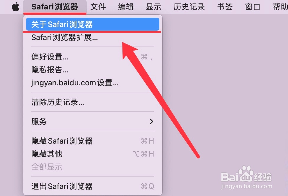 怎么查看Safari浏览器版本?