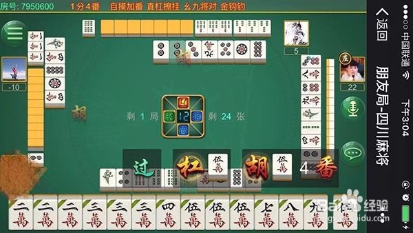 皮皮熊猫四川麻将血战到底换三张高手炼成秘籍