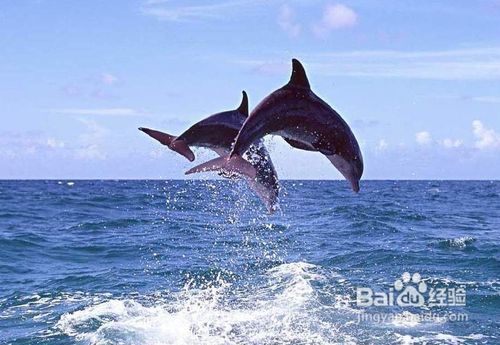 长沙到海南双飞五天游最佳线路安排