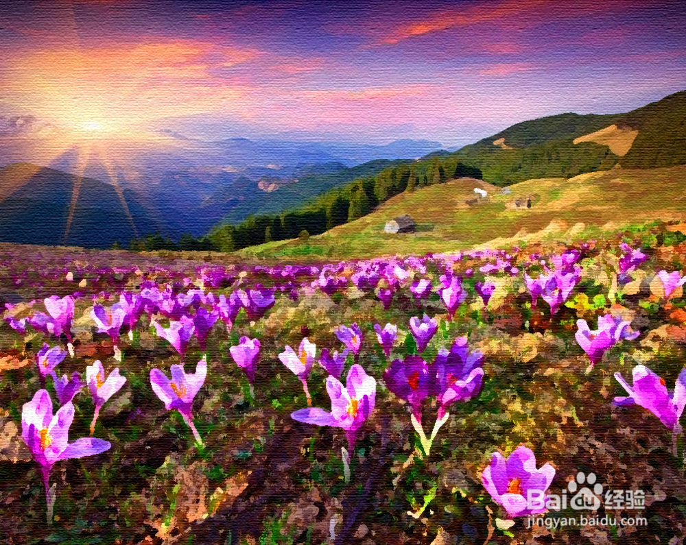 PS如何把普通照片变为油画效果？