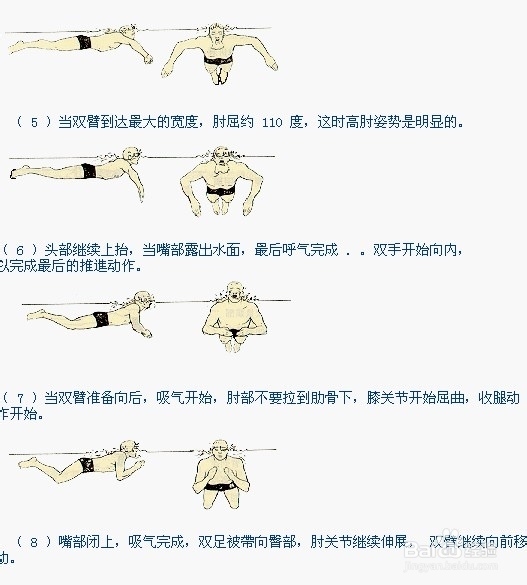 如何学会标准蛙泳
