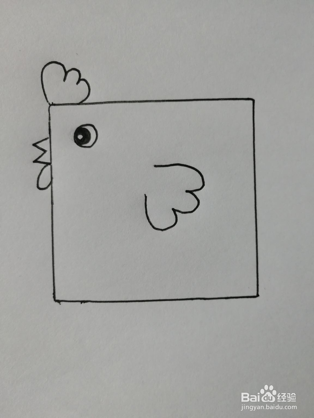 如何使用正方形画出一个简单的小公鸡