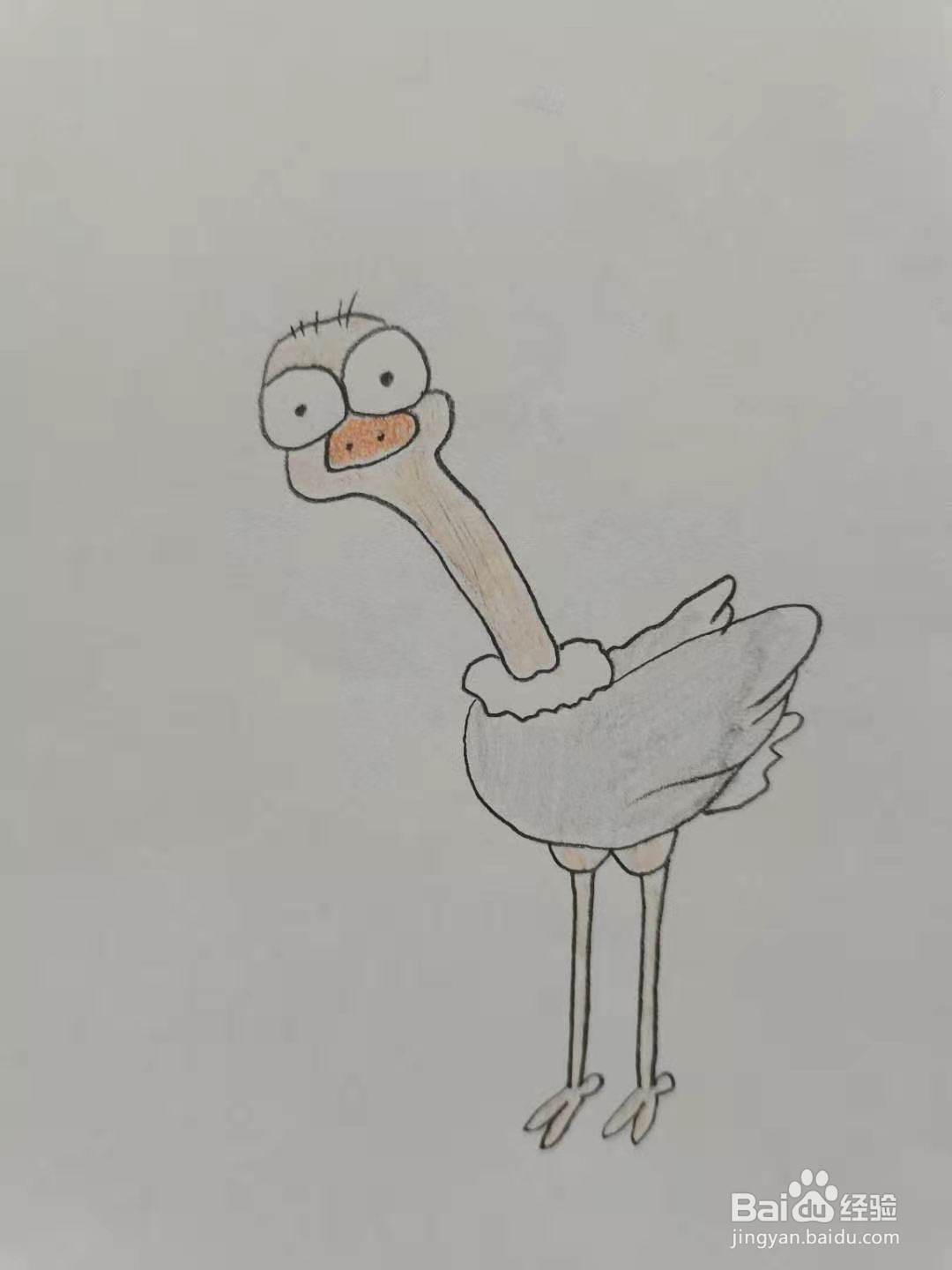 卡通鸵鸟怎么画
