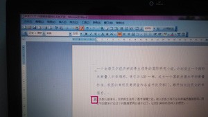 word基本操作之格式刷