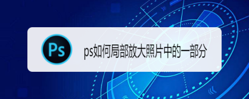 ps如何局部放大照片中的一部分