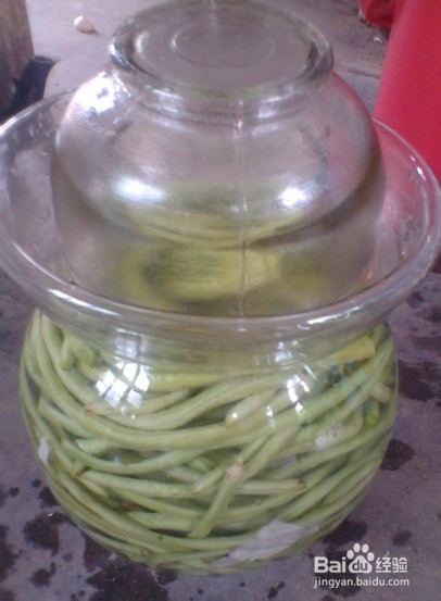 如何腌制酸豆角