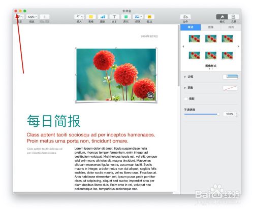 Pages文稿中的"杂志简报"模板如何使用
