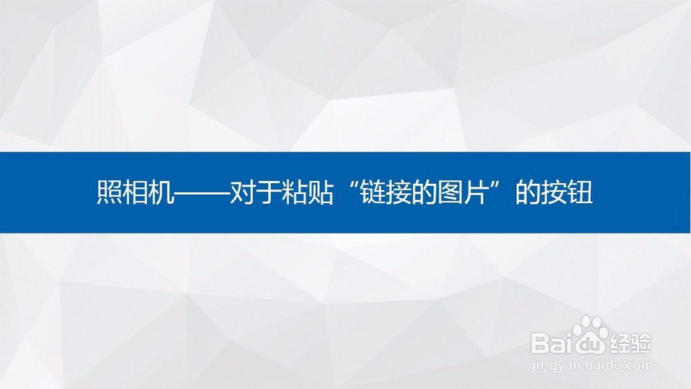 Excel中的照相机