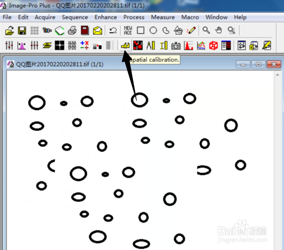 Imagepro plus 如何设置标尺数字字体？